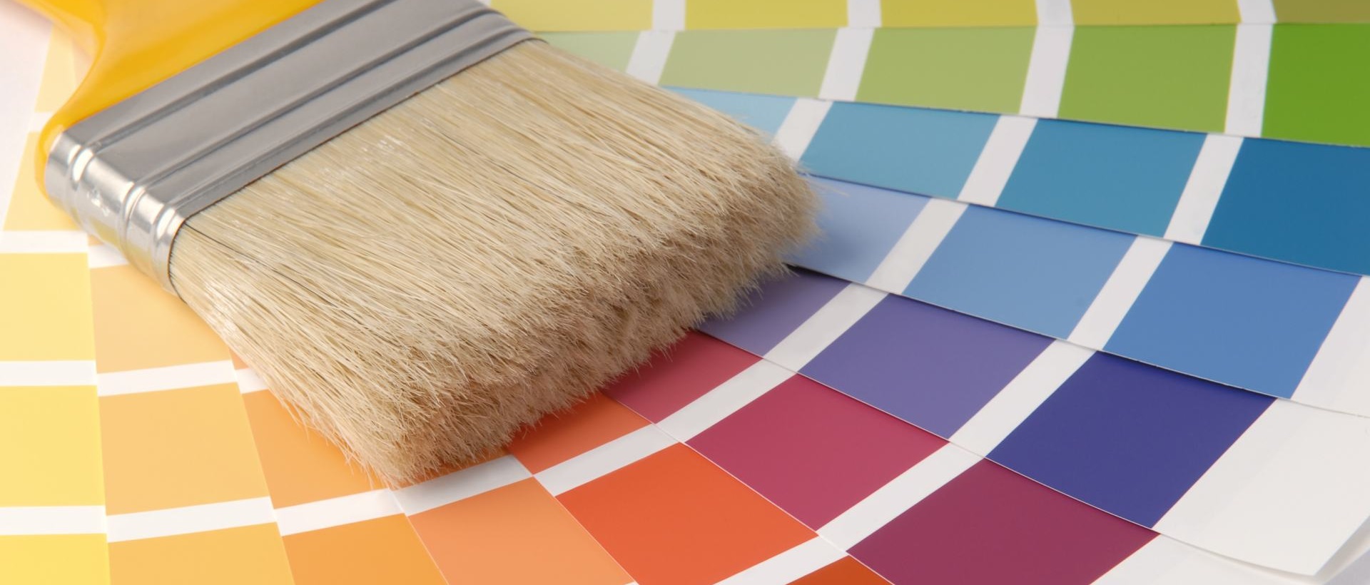 Painter W8